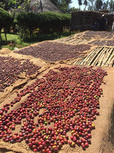 Load image into Gallery viewer, OCR Ethiopia Misty Valley Yirgacheffe