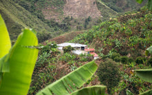 Load image into Gallery viewer, OCR Colombia Bochica
