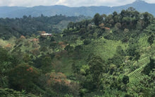 Load image into Gallery viewer, OCR Colombia Bochica
