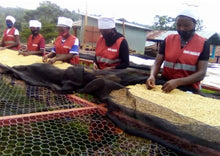 Load image into Gallery viewer, OCR Rwanda Agasaro
