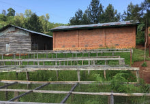 Load image into Gallery viewer, OCR Rwanda Agasaro

